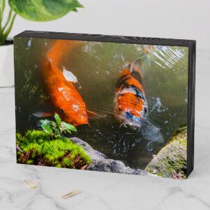 Koi fish in a pond wooden box sign