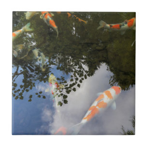 Koi Fish in garden pond with water reflection Ceramic Tile
