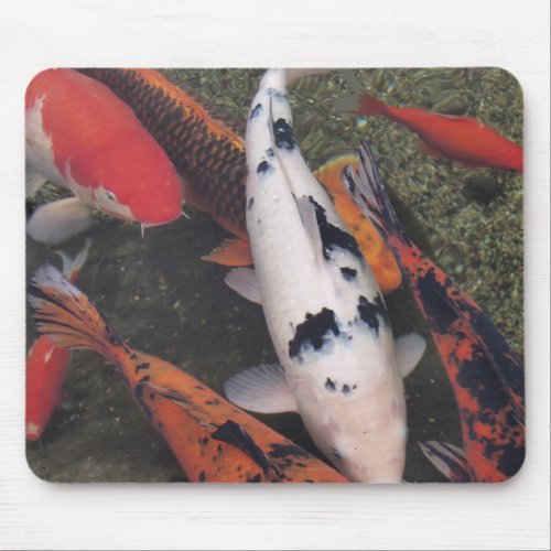 Koi Fish Mouse Pad