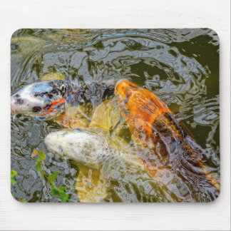 koi fish mouse pad