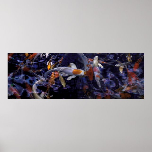 KOI FISH OVER FLOWING #2 POSTER (Front)