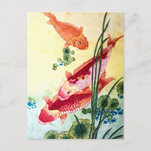 Koi Fish Postcard