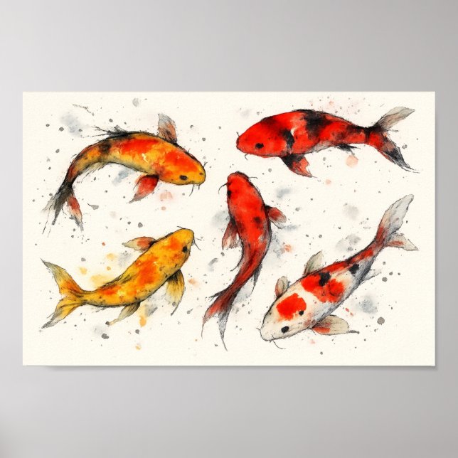 Koi Fish  Poster (Front)