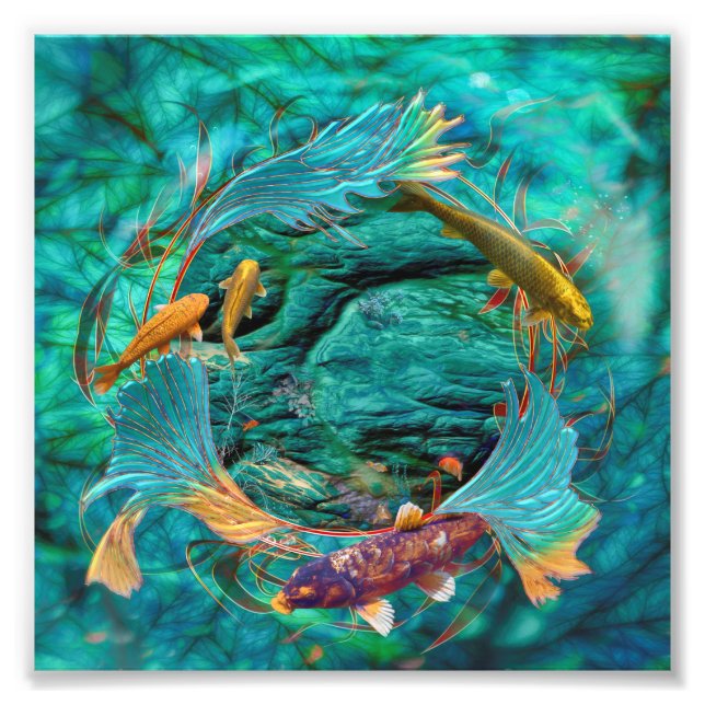 Koi Fish SWIMMING IN PEACE Photo Print (Front)