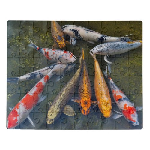 Koi in Pond  Tokyo Japan Jigsaw Puzzle