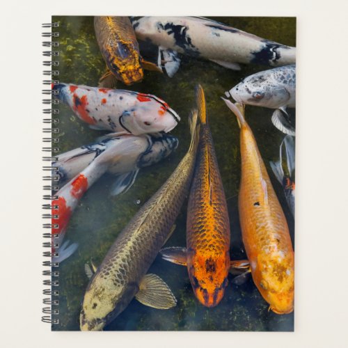 Koi in Pond  Tokyo Japan Planner