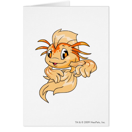 Koi Orange Cards (Front)