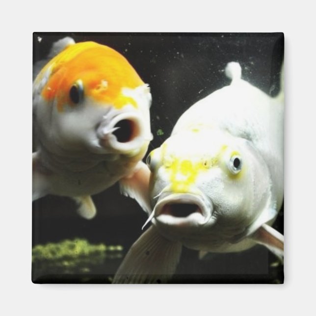 Koi Photography Magnet (Front)