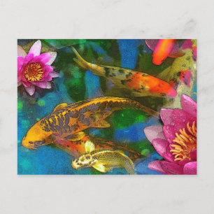 koi play , poscard postcard