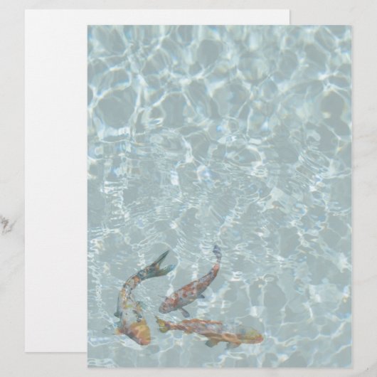 Koi Pond (Front/Back)