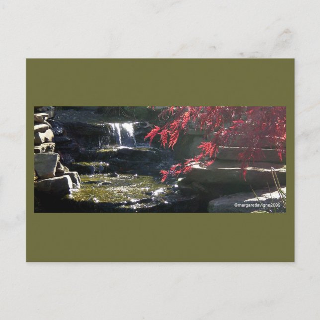 Koi Pond at HFSC Postcard (Front)