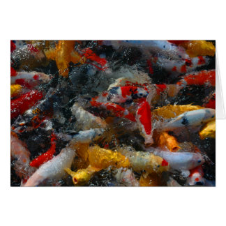 Koi Pond Cards