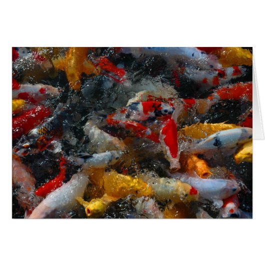 Koi Pond Cards (Front Horizontal)