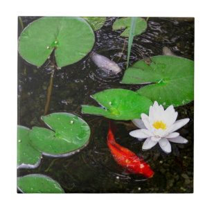 Koi Pond Ceramic Tile
