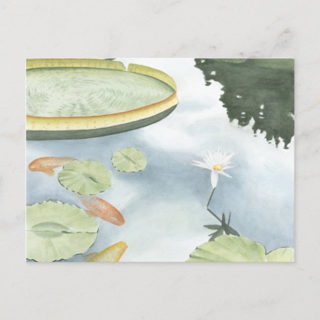Koi Pond Reflection with Fish and Lilies Postcard (Front)