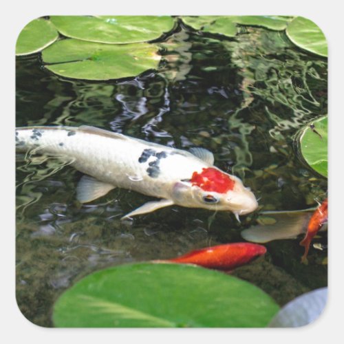 Koi Pond Square Sticker