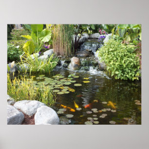 Koi Pond with Waterfall Poster