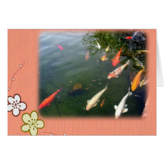 Koi Surprise Cards