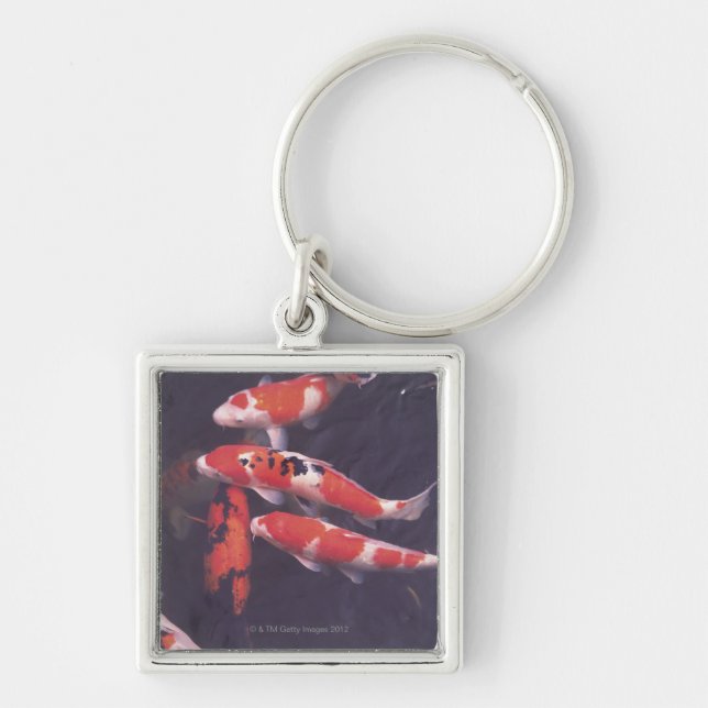 Koi swimming in pool keychain (Front)
