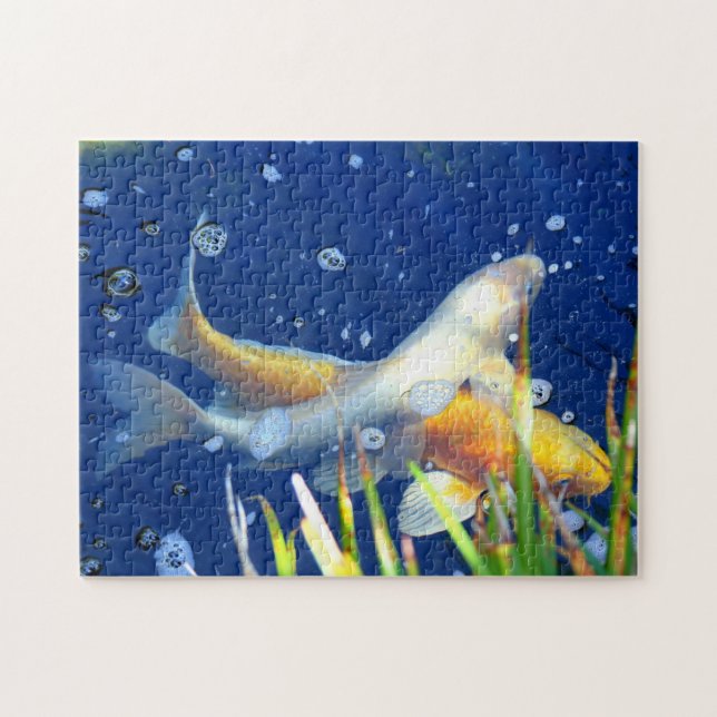 koi swimming puzzle (Horizontal)