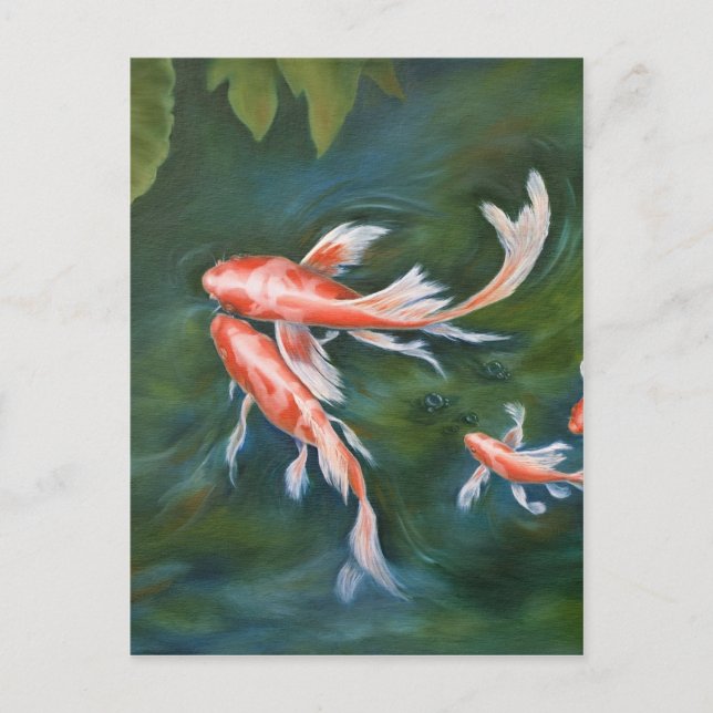 Koi Tranquility Postcard (Front)