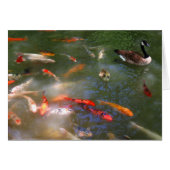 Koi with Canada Geese (Front Horizontal)