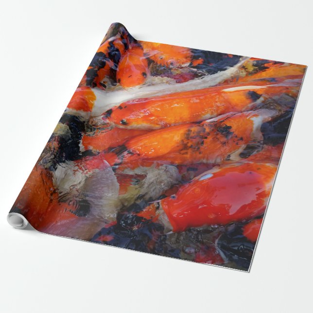 Koi Wrapping Paper (Unrolled)