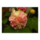 Koinonia "Fellowship On The Path" (Front Horizontal)