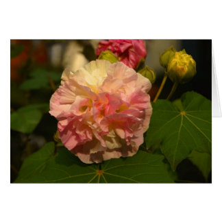 Koinonia "Fellowship On The Path"