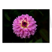 Koinonia "Fellowship On The Path" (Front Horizontal)