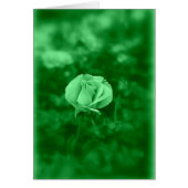 Koinonia "Fellowship On The Path" (Front)