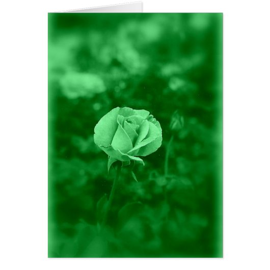 Koinonia "Fellowship On The Path" (Front)