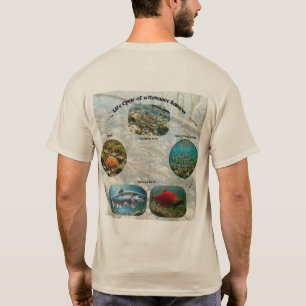 Kokanee Salmon Life Cycle Graphic T-Shirt