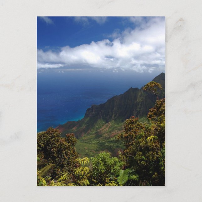 Koke’e wilderness postcard (Front)