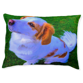 Kokoni Dog Bed. Pet Bed