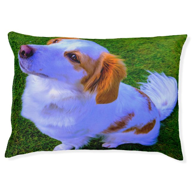 Kokoni Dog Bed. Pet Bed (Front)