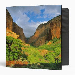 Kolob Canyon at Zion Canyon in Zion National Binder