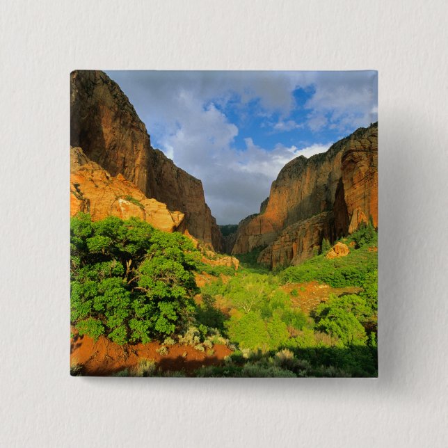 Kolob Canyon at Zion Canyon in Zion National Button (Front)