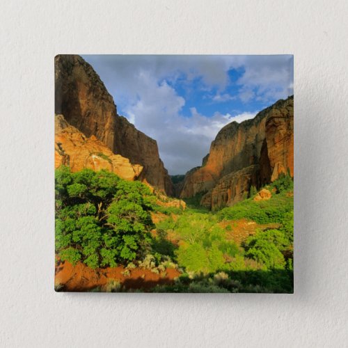 Kolob Canyon at Zion Canyon in Zion National Button