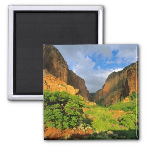 Kolob Canyon at Zion Canyon in Zion National Magnet