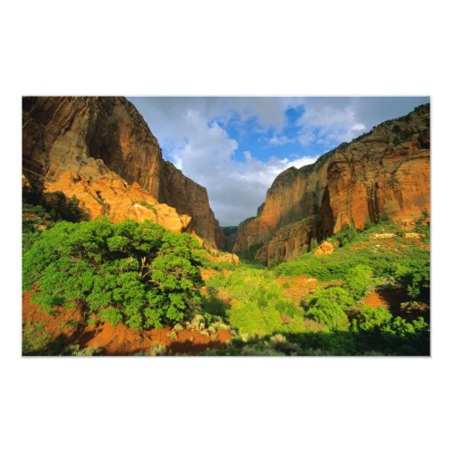 Kolob Canyon at Zion Canyon in Zion National Photo Print
