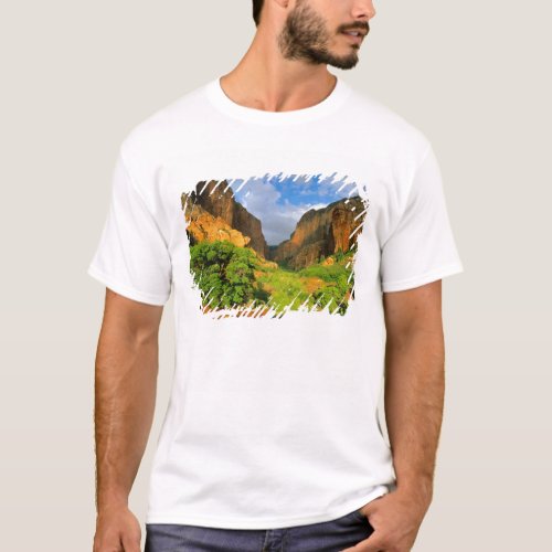 Kolob Canyon at Zion Canyon in Zion National T_Shirt