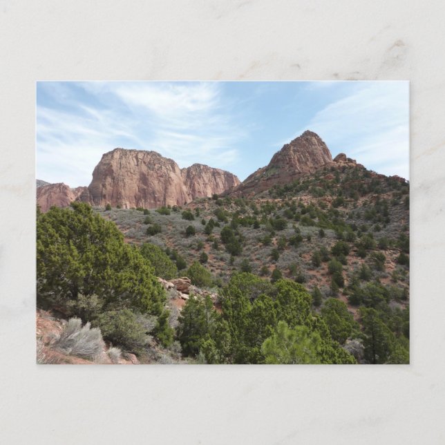 Kolob Canyons at Zion National Park Postcard (Front)