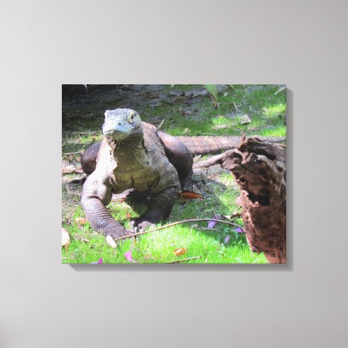 Komodo Dragon 0606 Wrapped Canvas