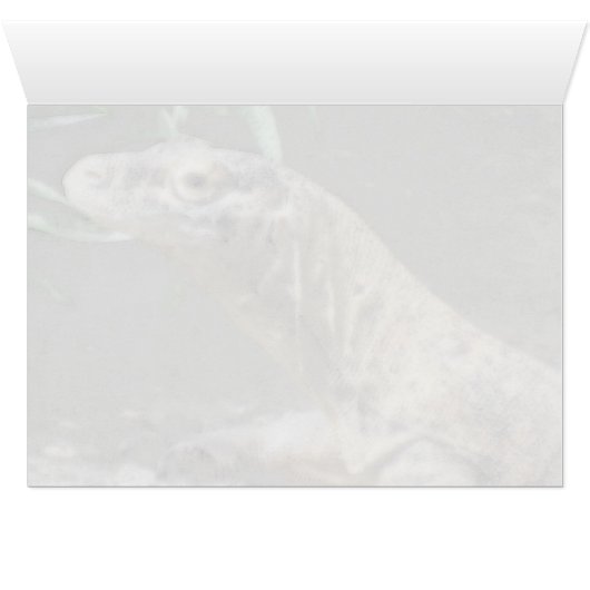 Komodo Dragon (0751) (Inside Horizontal (Bottom))