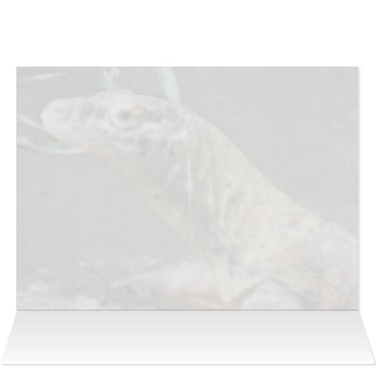 Komodo Dragon (0751) (Inside Horizontal (Top))