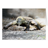 Komodo Dragon (0751) (Front Horizontal)