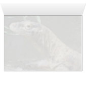 Komodo Dragon (0751) Cards (Inside Horizontal (Bottom))