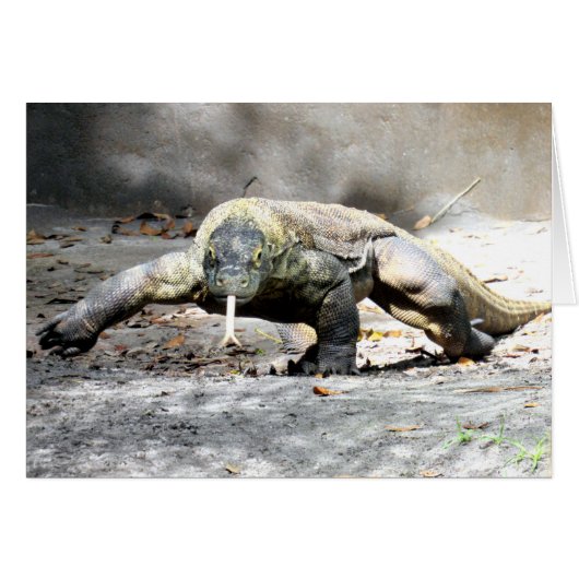 Komodo Dragon (0751) Cards (Front Horizontal)