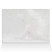 Komodo Dragon (0767) (Inside Horizontal (Top))